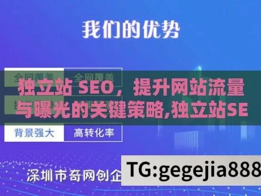 独立站 SEO，提升网站流量与曝光的关键策略,独立站SEO，提升网站排名的关键策略