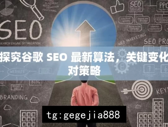 深入探究谷歌 SEO 最新算法，关键变化与应对策略，探究谷歌 SEO 最新算法及应对之策