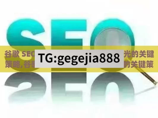 谷歌 SEO 优化，提升网站流量与曝光的关键策略,谷歌SEO优化，提升网站排名的关键策略