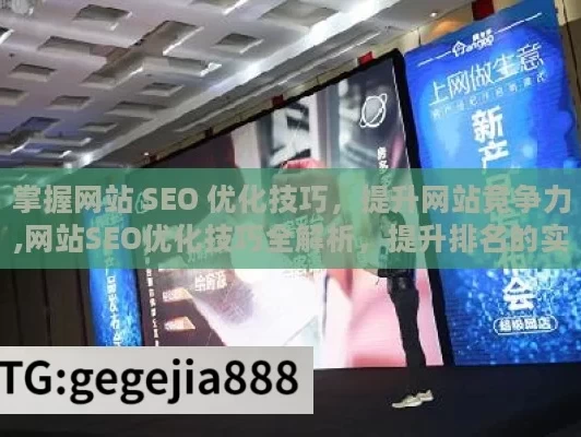 掌握网站 SEO 优化技巧，提升网站竞争力,网站SEO优化技巧全解析，提升排名的实用策略