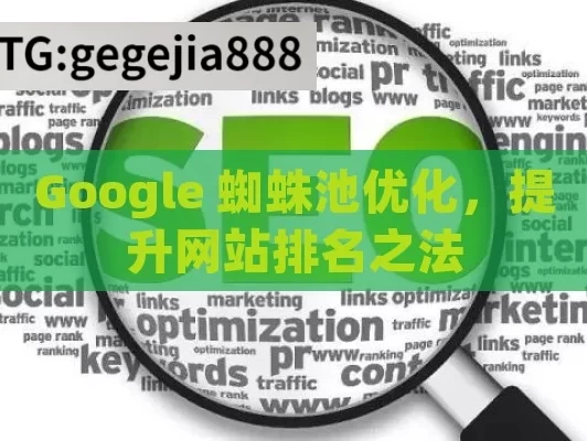 Google 蜘蛛池优化，提升网站排名之法