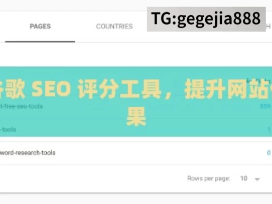 掌握谷歌 SEO 评分工具，提升网站优化效果，掌握谷歌 SEO 评分工具促网站优化