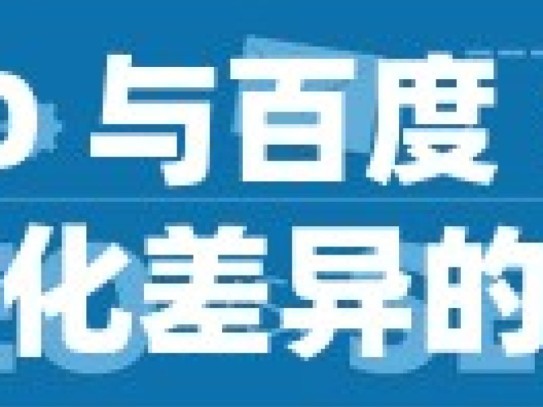 谷歌 SEO 与百度 SEO，探寻优化差异的奥秘