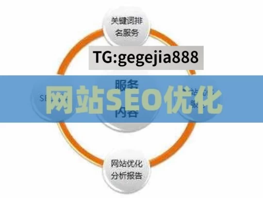 网站SEO优化，网站 SEO 优化策略解析