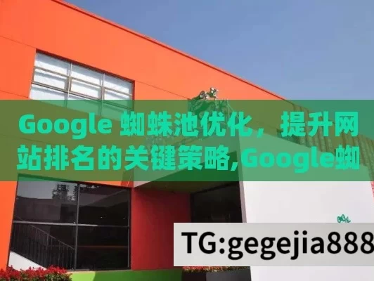 Google 蜘蛛池优化，提升网站排名的关键策略,Google蜘蛛池优化，提升网站可见性