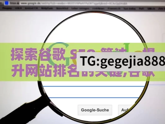 探索谷歌 SEO 算法，提升网站排名的关键,谷歌SEO算法解析，提升网站排名的秘诀