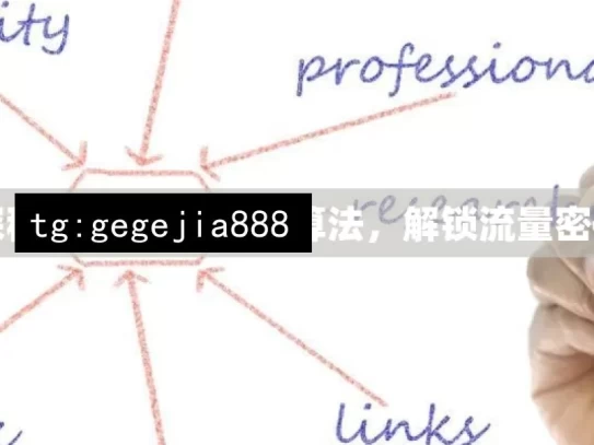 探秘谷歌 SEO 最新算法，解锁流量密码，探秘谷歌 SEO 新算法，解锁流量密码