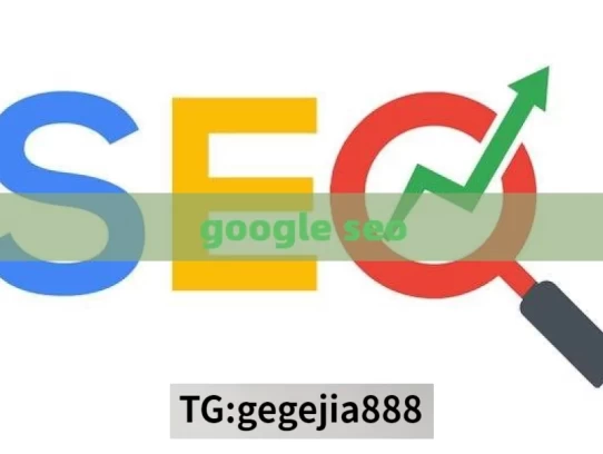 google seo，探索 Google SEO 的奥秘与技巧