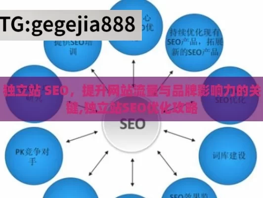 独立站 SEO，提升网站流量与品牌影响力的关键,独立站SEO优化攻略