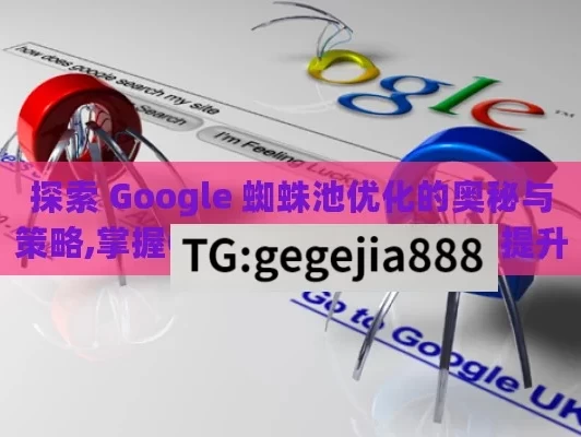 探索 Google 蜘蛛池优化的奥秘与策略,掌握Google蜘蛛池优化，提升网站排名