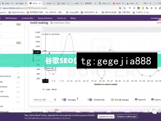 谷歌SEO优化技术详解，详解谷歌SEO优化技术