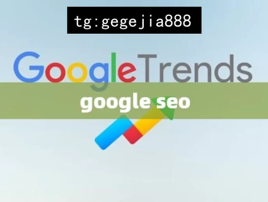 google seo，探索 Google SEO 奥秘