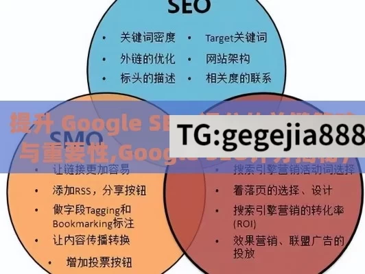 提升 Google SEO 评分的关键策略与重要性,Google SEO评分揭秘，提升网站排名的关键策略