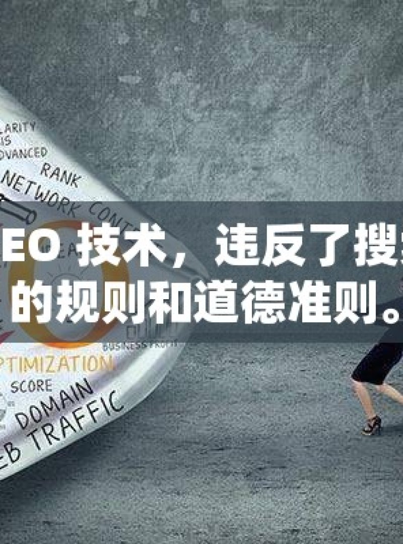 黑帽 SEO 技术，违反了搜索引擎的规则和道德准则。 - 