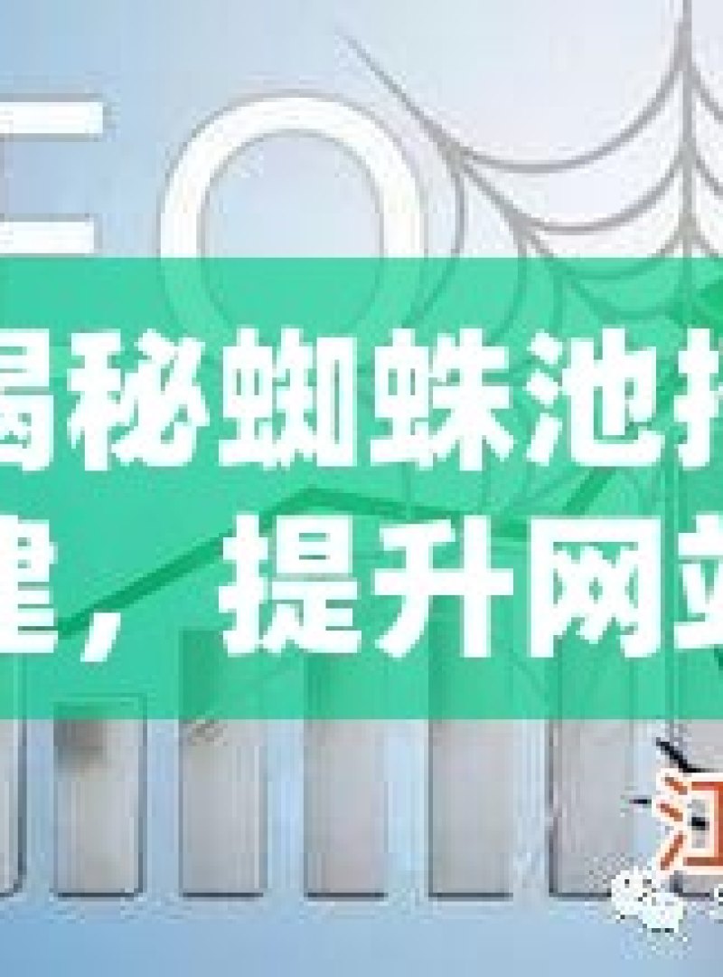 揭秘蜘蛛池搭建，提升网站排名的秘密武器掌握蜘蛛池搭建秘籍，提升网站SEO效果的终极指南！ - 