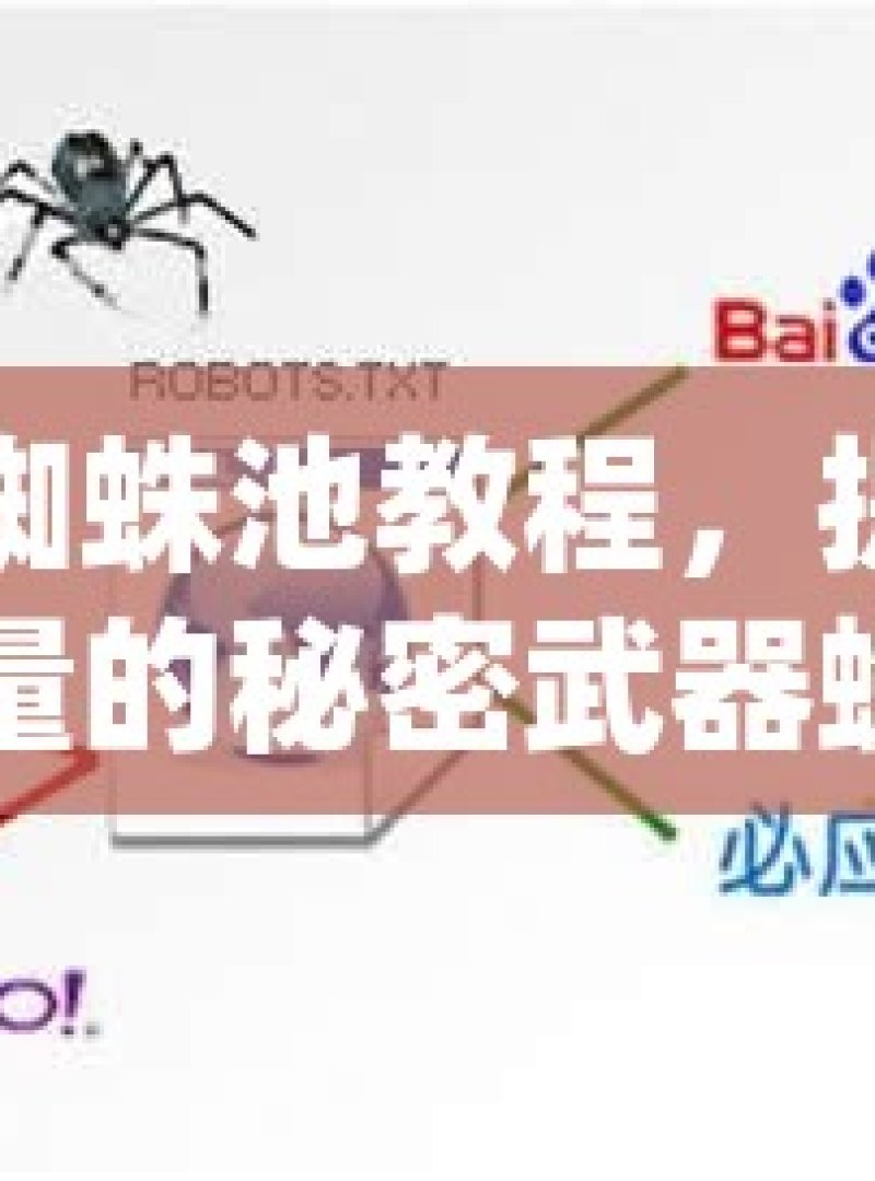 揭秘蜘蛛池教程，提升网站流量的秘密武器蜘蛛池教程，打造高效SEO蜘蛛池的策略与实战 - 