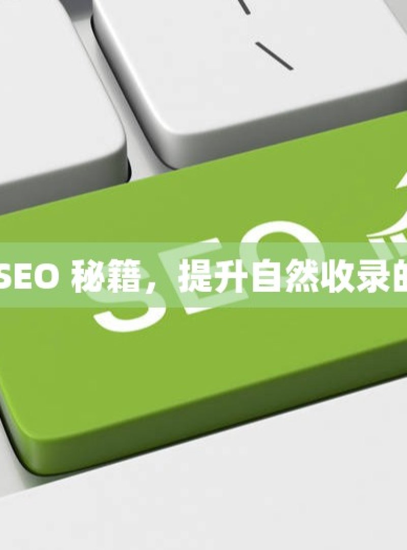 解锁谷歌 SEO 秘籍，提升自然收录的关键策略