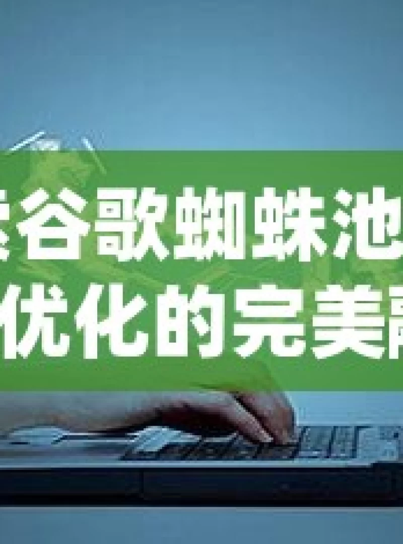 探索谷歌蜘蛛池与 SEO 优化的完美融合之道谷歌蜘蛛池优化技巧，快速提升网站索引速度