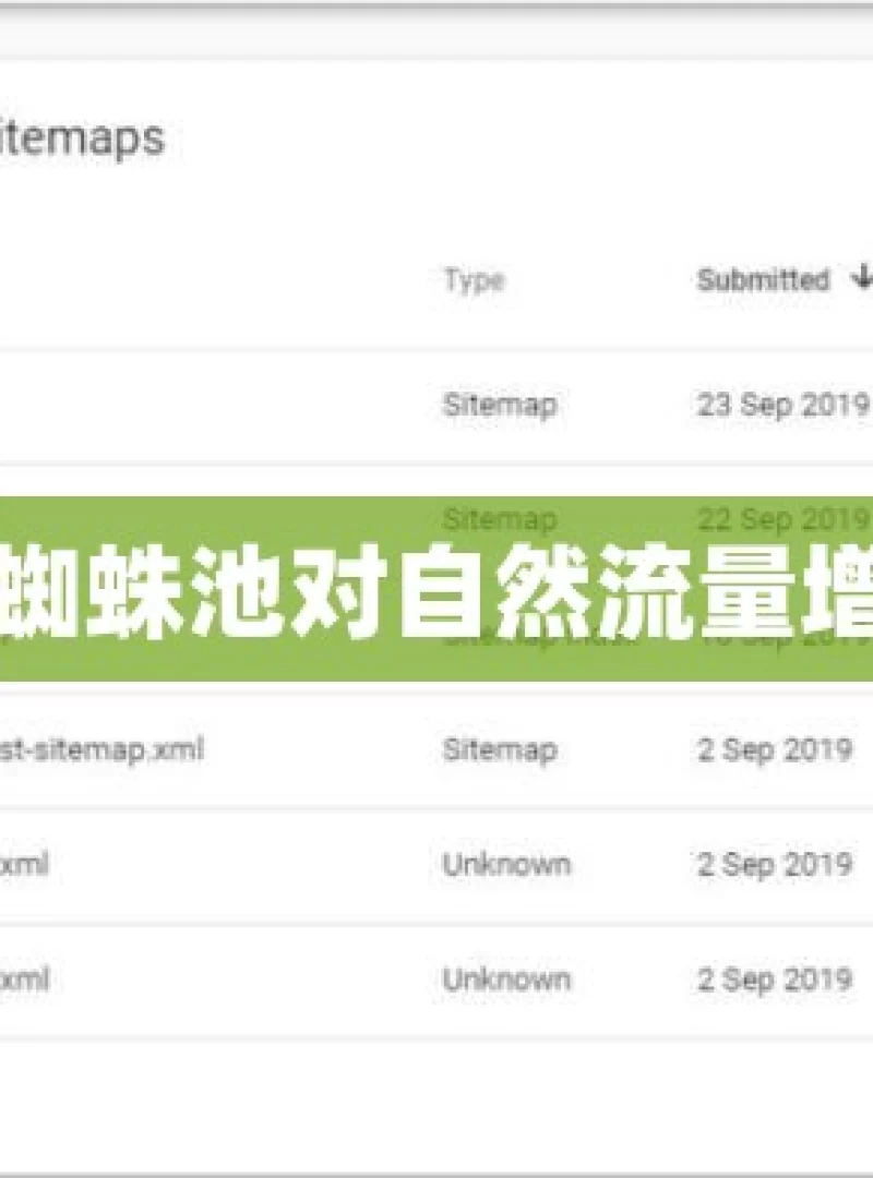 探索谷歌蜘蛛池对自然流量增长的影响