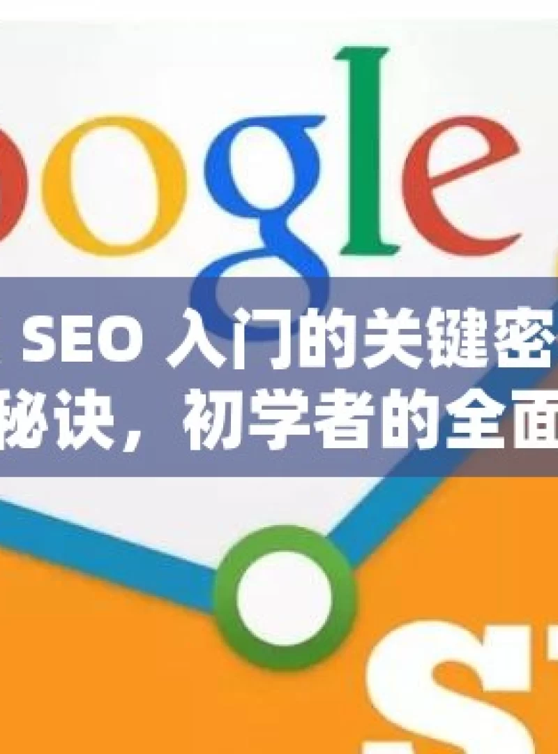 解锁谷歌 SEO 入门的关键密码掌握谷歌SEO的秘诀，初学者的全面入门指南