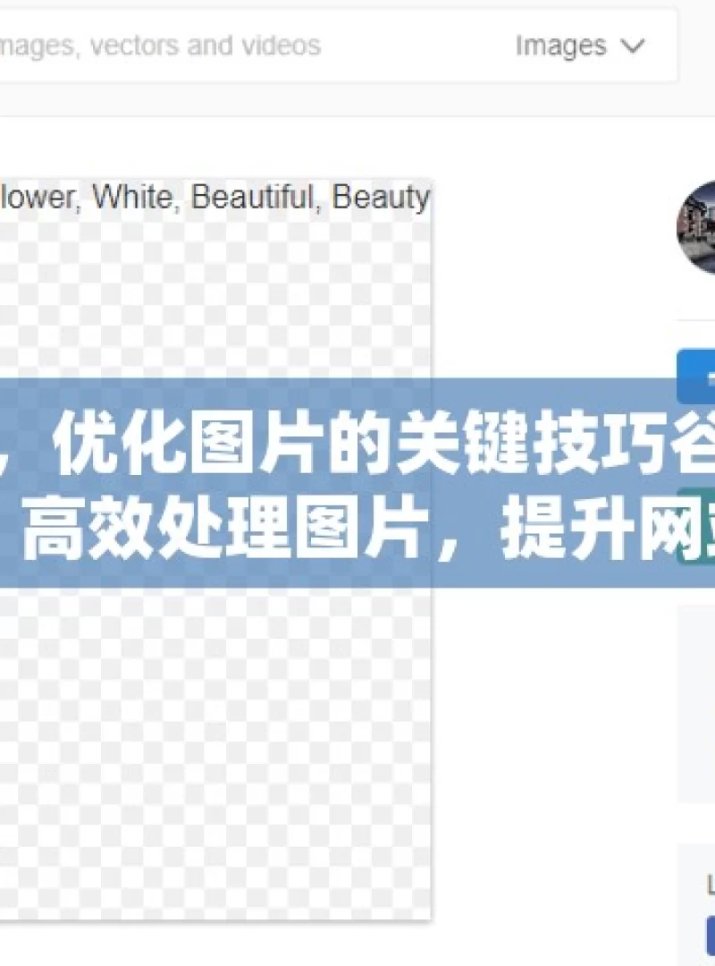 提升谷歌SEO，优化图片的关键技巧谷歌SEO优化新视角，高效处理图片，提升网站排名