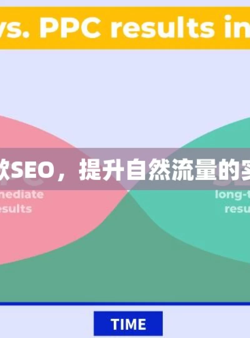 揭秘谷歌SEO，提升自然流量的实用策略