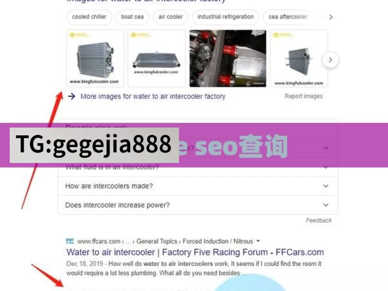 google seo查询