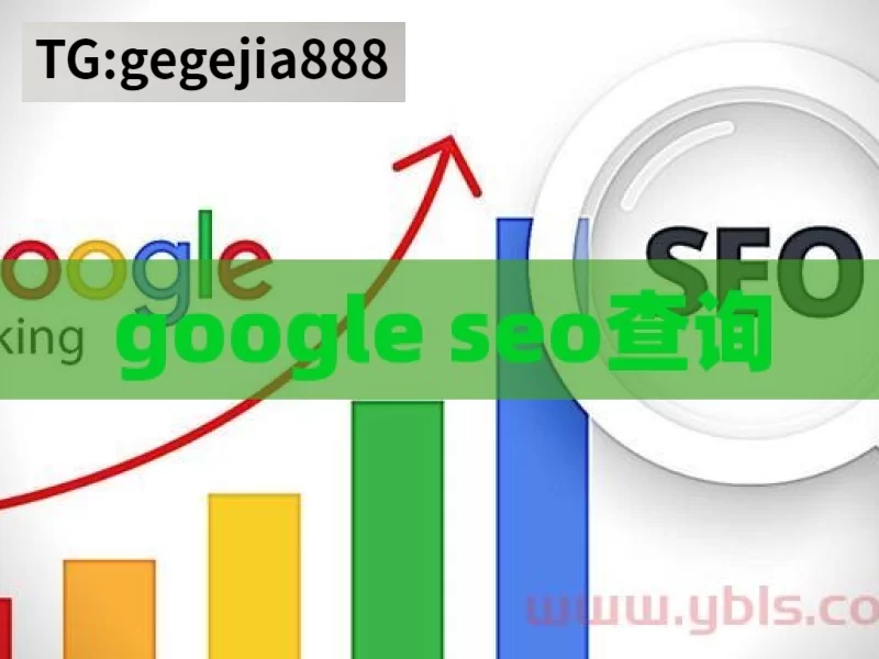 google seo查询