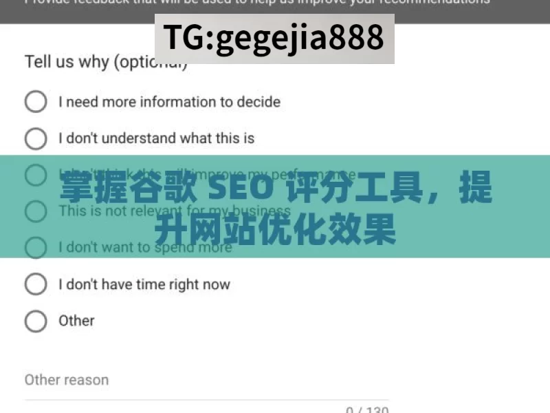 掌握谷歌 SEO 评分工具，提升网站优化效果