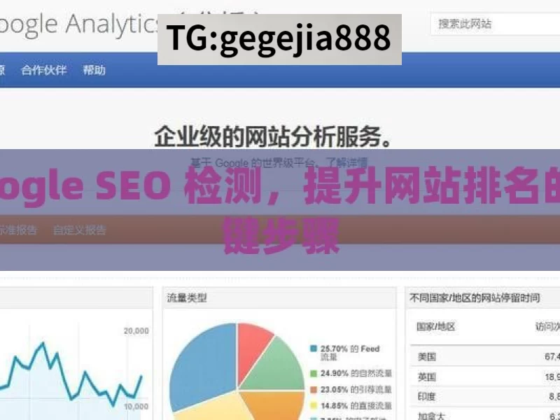 Google SEO 检测，提升网站排名的关键步骤