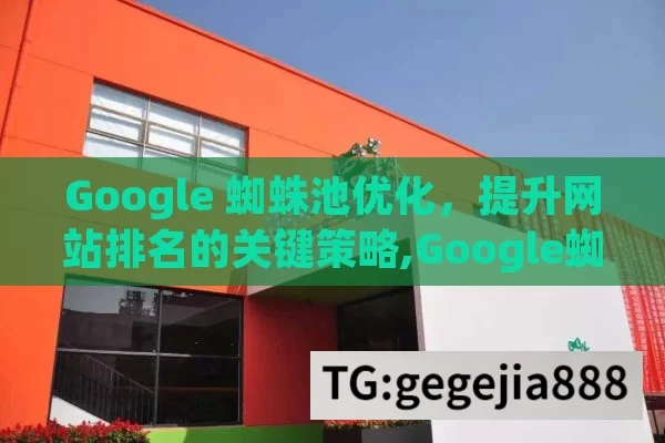 Google 蜘蛛池优化，提升网站排名的关键策略,Google蜘蛛池优化，提升网站可见性