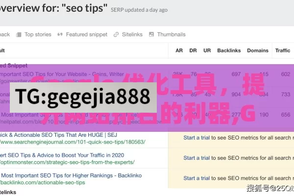 Google 优化工具，提升网站排名的利器,Google优化工具
