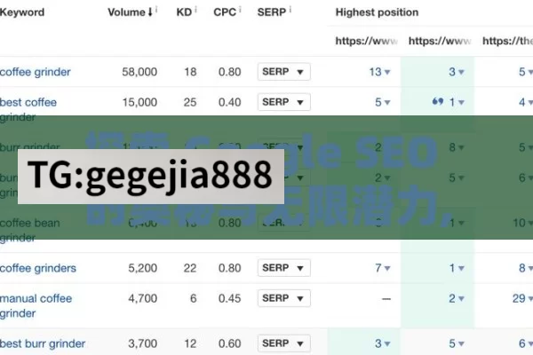 探索 Google SEO 的奥秘与无限潜力,掌握Google SEO，提升网站排名的秘诀