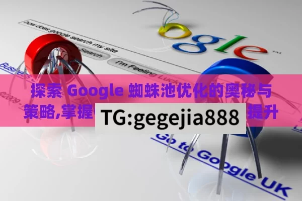 探索 Google 蜘蛛池优化的奥秘与策略,掌握Google蜘蛛池优化，提升网站排名