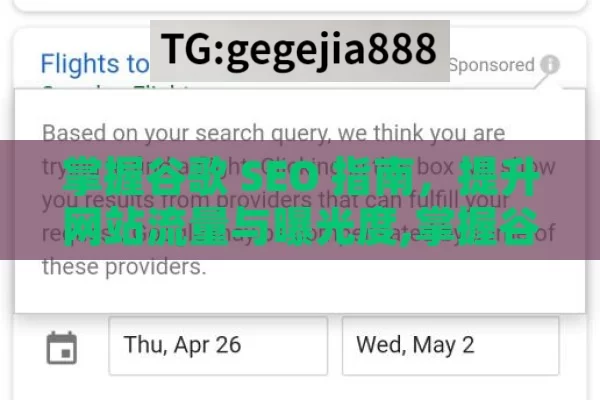 掌握谷歌 SEO 指南，提升网站流量与曝光度,掌握谷歌SEO指南