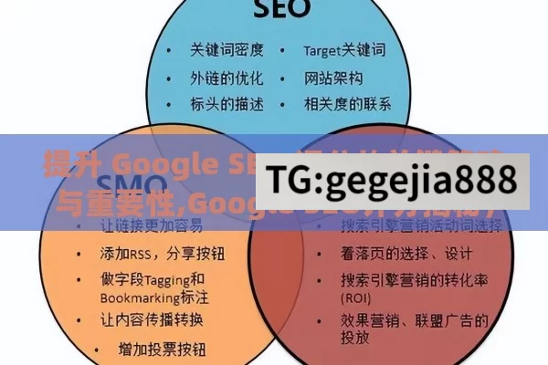 提升 Google SEO 评分的关键策略与重要性,Google SEO评分揭秘，提升网站排名的关键策略