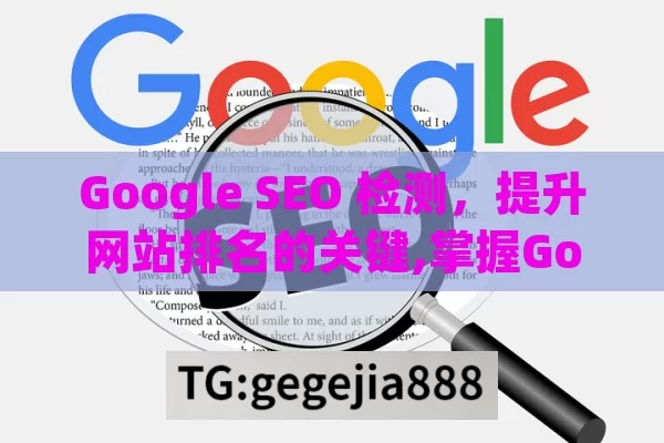 Google SEO 检测，提升网站排名的关键,掌握Google SEO检测，提升网站排名的秘诀