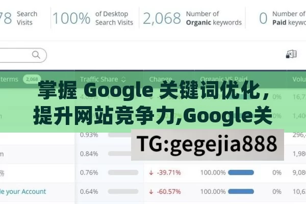 掌握 Google 关键词优化，提升网站竞争力,Google关键词优化，提升网站排名的秘诀