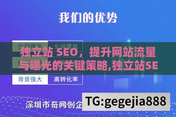 独立站 SEO，提升网站流量与曝光的关键策略,独立站SEO，提升网站排名的关键策略