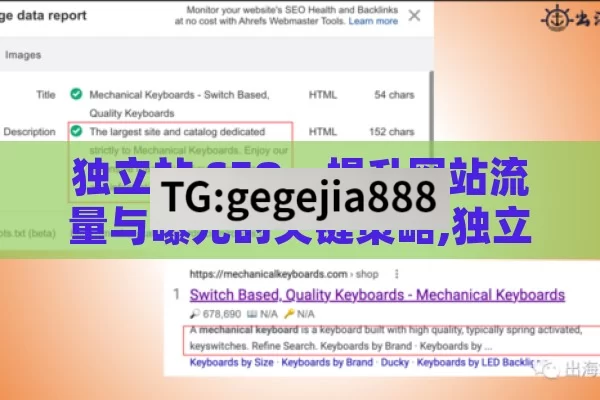 独立站 SEO，提升网站流量与曝光的关键策略,独立站SEO，提升网站排名的关键策略