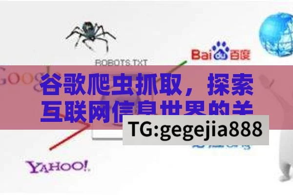 谷歌爬虫抓取，探索互联网信息世界的关键,谷歌爬虫抓取，网络世界的无形触手