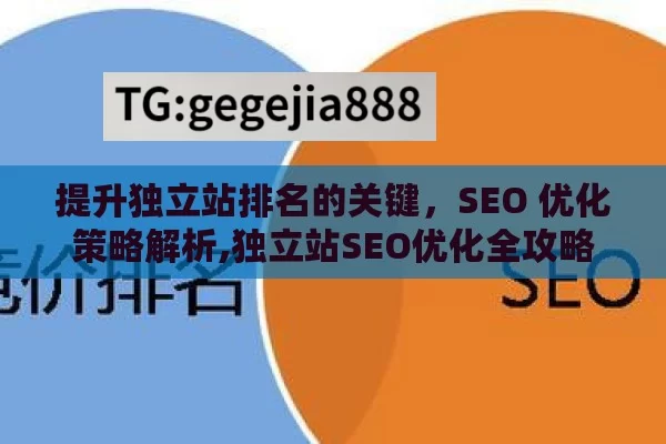 提升独立站排名的关键，SEO 优化策略解析,独立站SEO优化全攻略