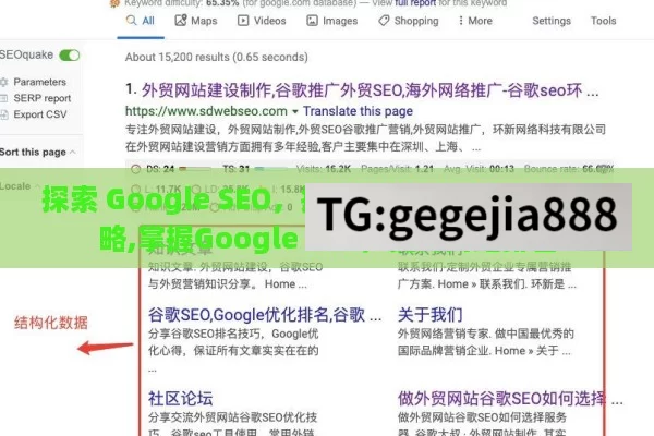 探索 Google SEO，提升网站可见性的关键策略,掌握Google SEO，提升网站排名