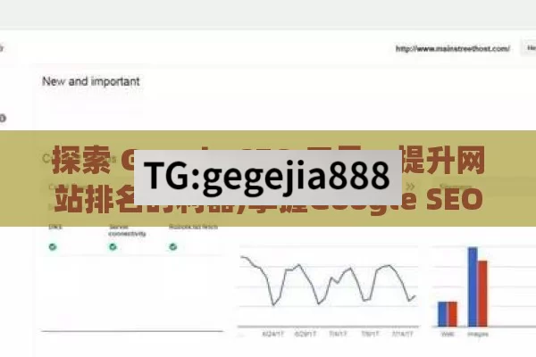 探索 Google SEO 工具，提升网站排名的利器,掌握Google SEO工具，提升网站排名的秘诀