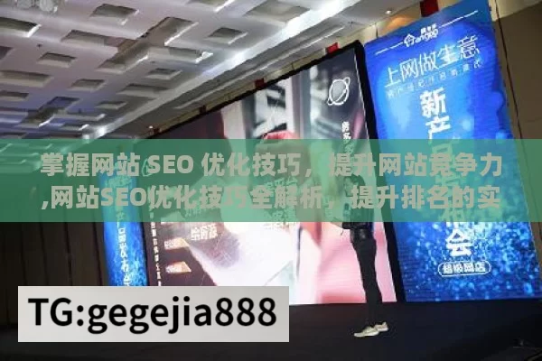 掌握网站 SEO 优化技巧，提升网站竞争力,网站SEO优化技巧全解析，提升排名的实用策略