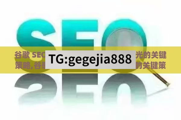 谷歌 SEO 优化，提升网站流量与曝光的关键策略,谷歌SEO优化，提升网站排名的关键策略