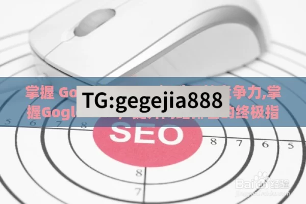 掌握 Google SEO，提升网站竞争力,掌握Gogle SEO，提升网站排名的终极指南