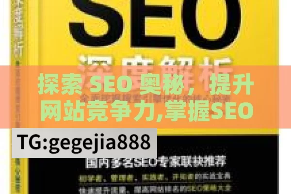 探索 SEO 奥秘，提升网站竞争力,掌握SEO艺术，提升网站排名的终极指南