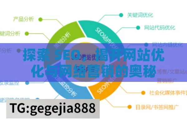 探索 SEO，揭开网站优化与网络营销的奥秘