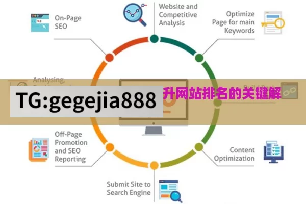 探秘谷歌 SEO 算法，提升网站排名的关键解析